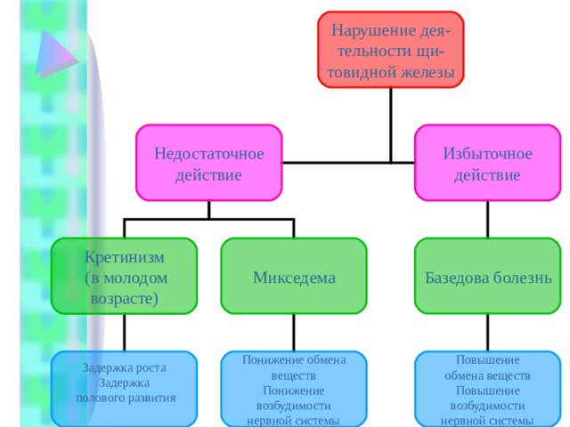 Нарушение дея-тельности щи-товидной железы Недостаточное действие Избыточное действие Кретинизм  (в молодом возрасте) Микседема Базедова болезнь Задержка роста Задержка  полового развития Понижение обмена веществ Понижение возбудимости нервной системы Повышение обмена веществ Повышение возбудимости нервной системы 