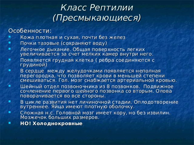 Класс Рептилии  (Пресмыкающиеся) Особенности: Кожа плотная и сухая, почти без желез Почки тазовые (сохраняют воду) Легочное дыхание. Общая поверхность легких увеличивается за счет мелких камер внутри него. Появляется грудная клетка ( ребра соединяются с грудиной) В сердце между желудочками появляется неполная перегородка, что позволяет крови в меньшей степени смешиваться. Гол. мозг снабжается артериальной кровью. Шейный отдел позвоночника из 8 позвонков. Подвижное сочленение первого шейного позвонка со вторым. Олова поворачивается во все стороны. В цикле развития нет личиночной стадии. Оплодотворение вутреннее. Яйца имеют плотную оболочку. Сложная н.с. Головной мозг имеет кору, но без извилин. Мозжечок больших размеров. НО! Холоднокровные 