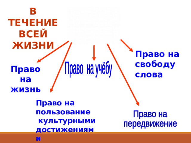 В ТЕЧЕНИЕ ВСЕЙ ЖИЗНИ Право на свободу слова Право на жизнь Право на пользование  культурными достижениями   