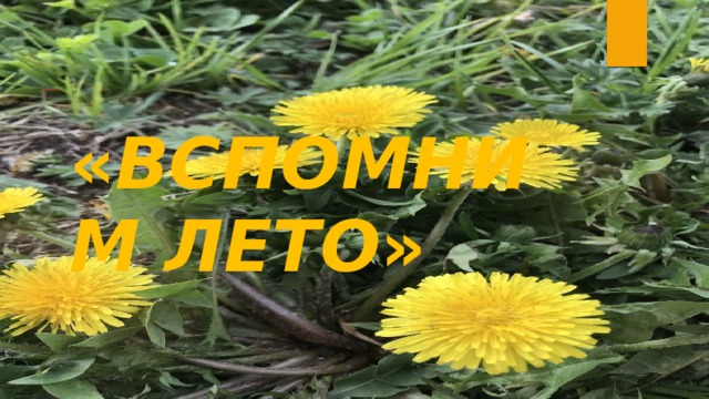                                     ВСПОМНИМ ЛЕТО « ВСПОМНИМ ЛЕТО » 