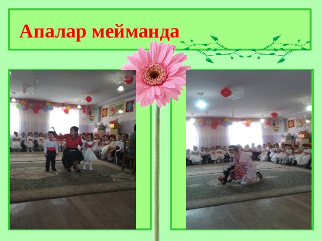 Апалар мейманда 