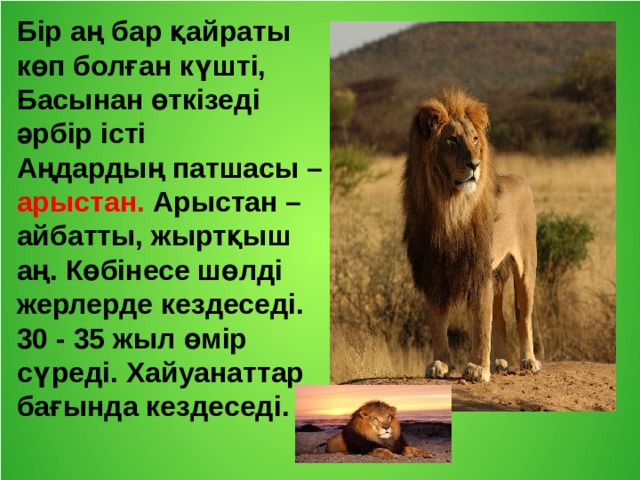 Бір аң бар қайраты көп болған күшті, Басынан өткізеді әрбір істі Аңдардың патшасы – арыстан. Арыстан – айбатты, жыртқыш аң. Көбінесе шөлді жерлерде кездеседі. 30 - 35 жыл өмір сүреді. Хайуанаттар бағында кездеседі. 