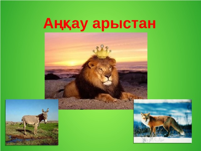 Аңқау арыстан 