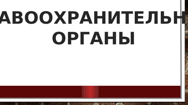 ПРАВООХРАНИТЕЛЬНЫЕ  ОРГАНЫ 