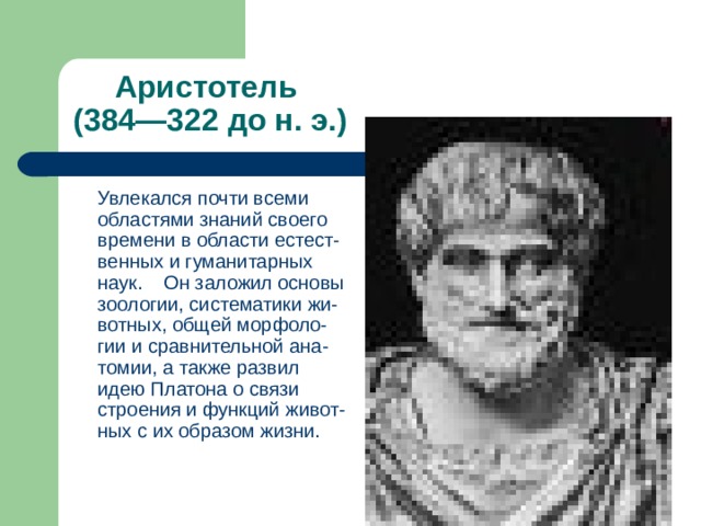 Аристотель  (384—322 до н. э.)  Увлекался почти всеми областями знаний своего времени в области естест-венных и гуманитарных наук. Он заложил основы зоологии, систематики жи-вотных, общей морфоло-гии и сравнительной ана-томии, а также развил идею Платона о связи строения и функций живот-ных с их образом жизни. 