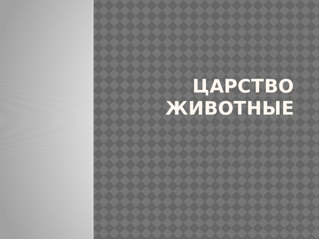 Царство животные 