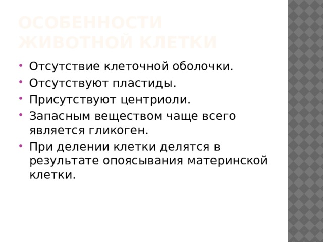 Особенности животной клетки Отсутствие клеточной оболочки. Отсутствуют пластиды. Присутствуют центриоли. Запасным веществом чаще всего является гликоген. При делении клетки делятся в результате опоясывания материнской клетки. 