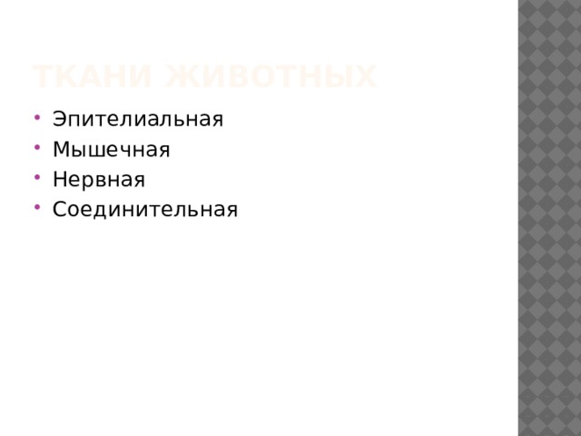 Ткани животных Эпителиальная Мышечная Нервная Соединительная 