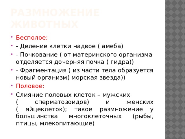 Размножение животных Бесполое: - Деление клетки надвое ( амеба) - Почкование ( от материнского организма отделяется дочерняя почка ( гидра)) - Фрагментация ( из части тела образуется новый организм( морская звезда)) Половое: Слияние половых клеток – мужских ( сперматозоидов) и женских ( яйцеклеток); такое размножение у большинства многоклеточных (рыбы, птицы, млекопитающие) 