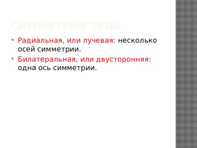 Симметрия тела Радиальная, или лучевая: несколько осей симметрии. Билатеральная, или двусторонняя : одна ось симметрии. 