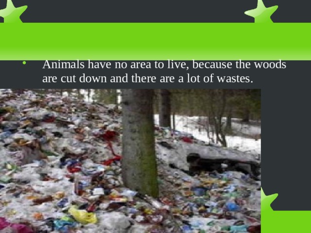 Animals have no area to live, because the woods are cut down and there are a lot of wastes. 