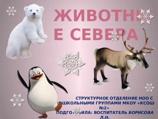 Животные Севера             Структурное отделение НОО с дошкольными группами МКОУ «КСОШ №2» Подготовила: воспитатель Борисова Л.Н. 