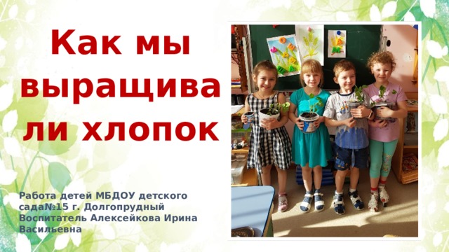Как мы выращивали хлопок Работа детей МБДОУ детского сада№15 г. Долгопрудный Воспитатель Алексейкова Ирина Васильевна 