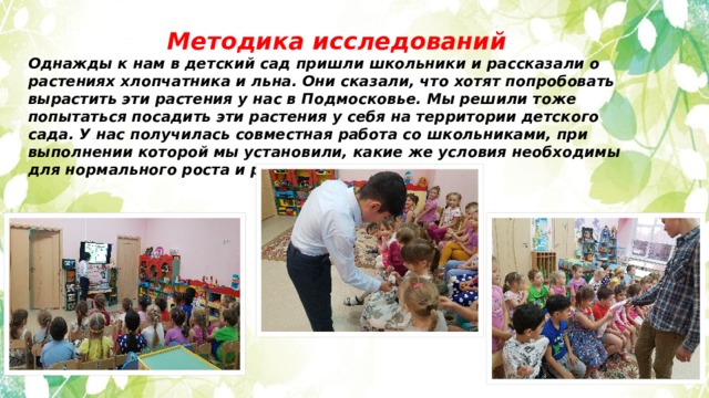 Методика исследований Однажды к нам в детский сад пришли школьники и рассказали о растениях хлопчатника и льна. Они сказали, что хотят попробовать вырастить эти растения у нас в Подмосковье. Мы решили тоже попытаться посадить эти растения у себя на территории детского сада. У нас получилась совместная работа со школьниками, при выполнении которой мы установили, какие же условия необходимы для нормального роста и развития хлопчатника. 