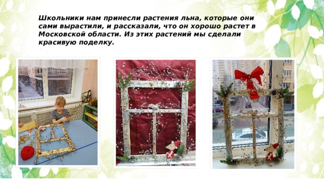 Школьники нам принесли растения льна, которые они сами вырастили, и рассказали, что он хорошо растет в Московской области. Из этих растений мы сделали красивую поделку. 