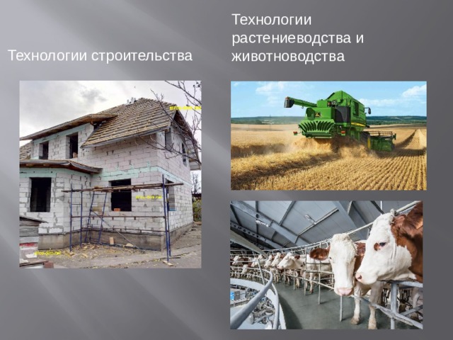 Технологии растениеводства и животноводства Технологии строительства 