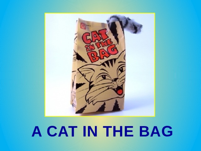 A CAT IN THE BAG 