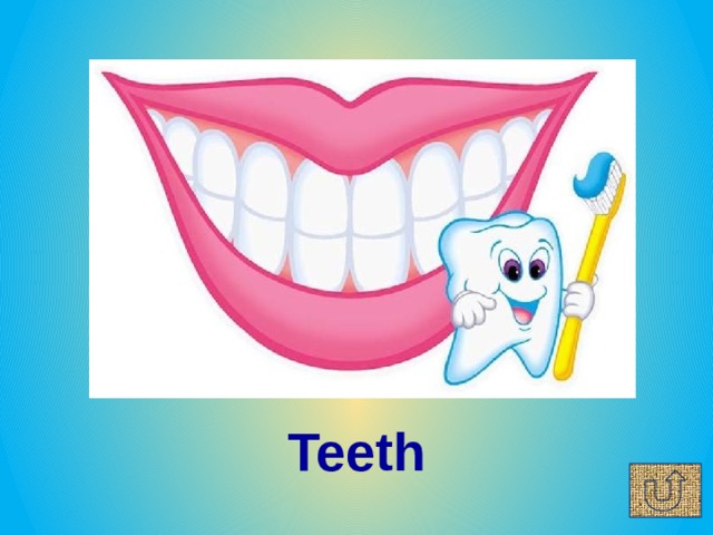 Teeth 