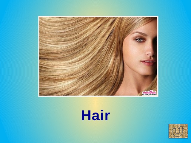 Hair 
