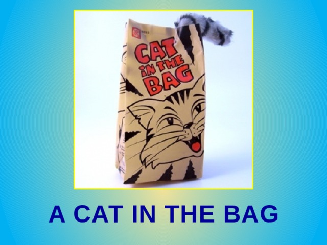 A CAT IN THE BAG 