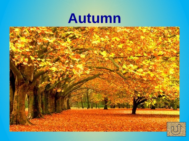 Autumn 