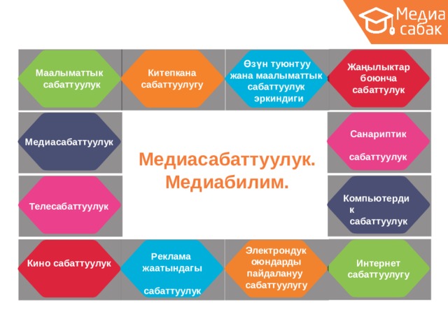 Өзүн туюнтуу жана  маалыматтык с абат т у ул ук эркиндиги Ж аңылыктар боюнча сабаттулук Китепкана с абат т у ул угу М аалы м аттык сабаттуулук Санариптик с абат т у ул ук Медиасабаттуулук Медиа с абат т у ул ук. Медиабилим. К о мпь ю те р дик сабаттуулук Телесабаттуулук Электрондук оюндарды пайдалануу с абат т у ул угу Реклама ж аатындагы сабаттуулук Кино  сабаттуулук Интернет с абат т у ул угу 