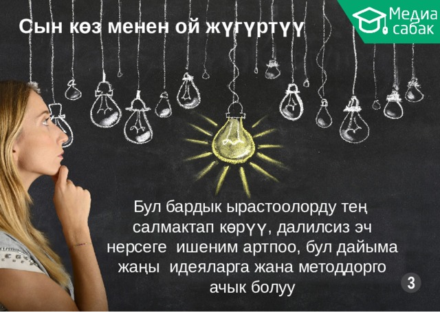 Сын көз менен ой  жүгүртүү Бул бардык ырастоолорду тең салмактап көрүү, далилсиз эч нерсеге ишеним артпоо, бул дайыма жаңы идеяларга жана  методдорго ачык  болуу 3 