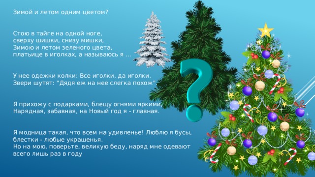 Зимой и летом одним цветом? Стою в тайге на одной ноге, сверху шишки, снизу мишки, Зимою и летом зеленого цвета, платьице в иголках, а называюсь я ... У нее одежки колки: Все иголки, да иголки. Звери шутят: 