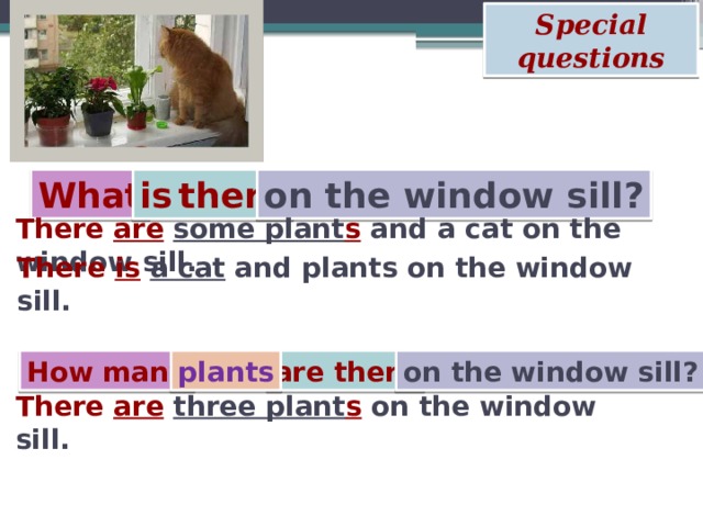 Special questions What on the window sill? is  there There are  some plant s and a cat on the window sill.  There is  a cat and plants on the window sill.  How many are there on the window sill? plants There are  three plant s on the window sill.  