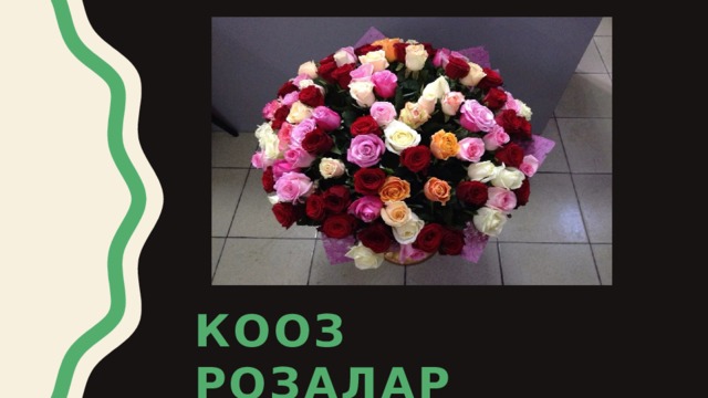 кооз Розалар 
