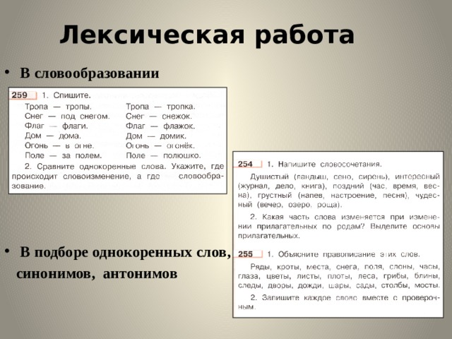 Лексическая работа В словообразовании В подборе однокоренных слов,  синонимов, антонимов