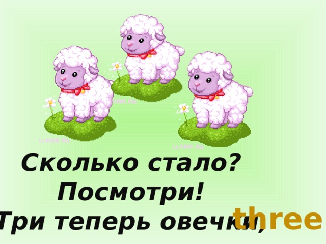 Сколько стало? Посмотри! Три теперь овечки, three 
