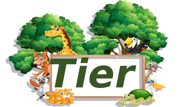 Tiere 