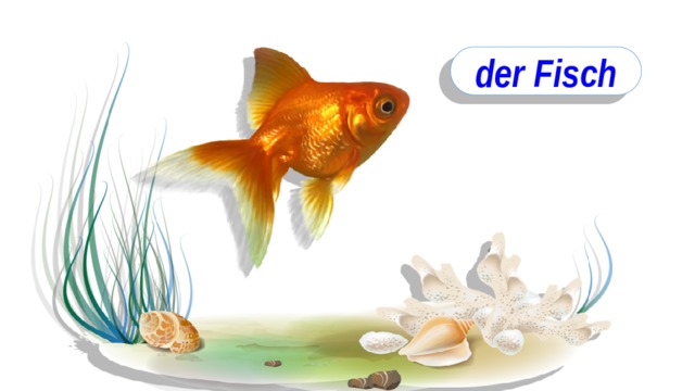 der Fisch 