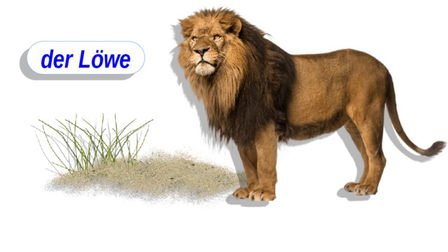 der Löwe 