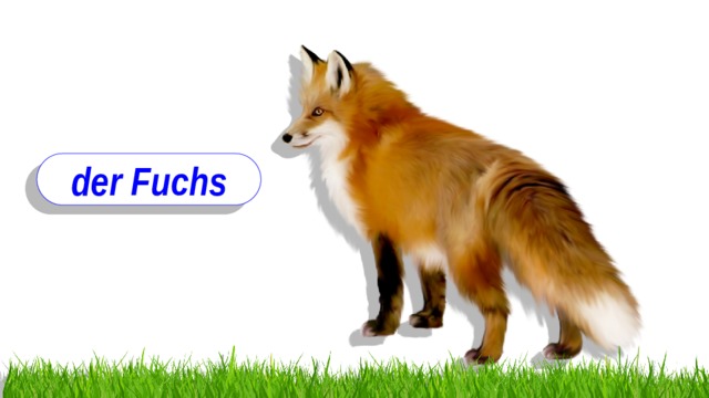 der Fuchs 