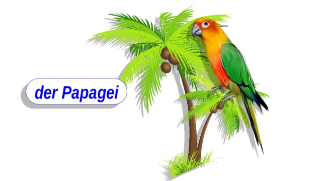 der Papagei 