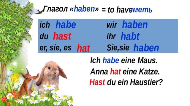 Глагол « haben » иметь = to have habe haben ich du wir ihr er, sie, es Sie,sie hast habt haben hat Ich habe eine Maus. Anna hat eine Katze. Hast du ein Haustier? 