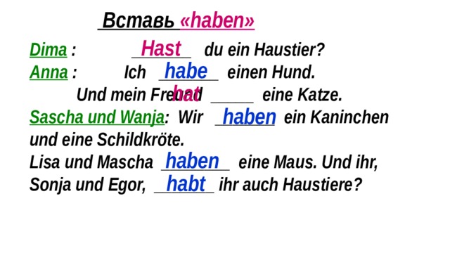  Вставь «haben» Hast Dima  : _______ du ein Haustier? Anna : Ich _______ einen Hund. Und mein Freund _____ eine Katze. Sascha und Wanja : Wir _______ ein Kaninchen und eine Schildkröte. Lisa und Mascha ________ eine Maus. Und ihr, Sonja und Egor, _______ ihr auch Haustiere? habe hat haben haben habt 