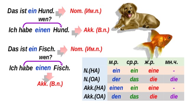 Das ist ein Hund. Nom. (Им.п.) wen? einen Ich habe  Hund. Akk. (В.п.) Das ist ein Fisch. Nom. (Им.п.) wen? N.(НА) м.р. N.(ОА) ср.р. ein Akk.(НА) der ж.р. ein Akk.(ОА) мн.ч. eine das einen die - ein den die eine das - die die einen Ich habe  Fisch. Akk. (В.п.) 