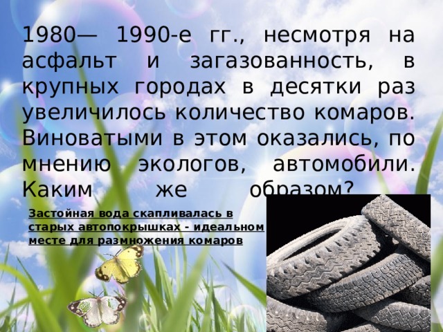 1980— 1990-е гг., несмотря на асфальт и загазованность, в крупных городах в десятки раз увеличилось количество комаров. Виноватыми в этом оказались, по мнению экологов, автомобили. Каким же образом?   Застойная вода скапливалась в старых автопокрышках - идеальном месте для размножения комаров 