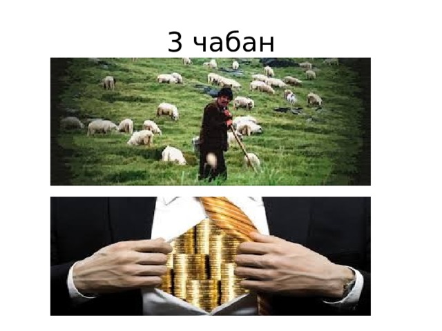 3 чабан 