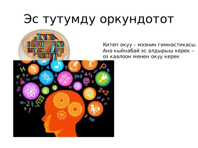 Эс тутумду оркундотот Китеп окуу – мээнин гимнастикасы. Ана кыйнабай эс алдырыш керек – оз каалоон менен окуу керек 