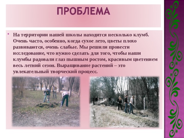 На территории нашей школы находится несколько клумб. Очень часто, особенно, когда сухое лето, цветы плохо развиваются, очень слабые. Мы решили провести исследование, что нужно сделать для того, чтобы наши клумбы радовали глаз пышным ростом, красивым цветением весь летний сезон. Выращивание растений – это увлекательный творческий процесс.   