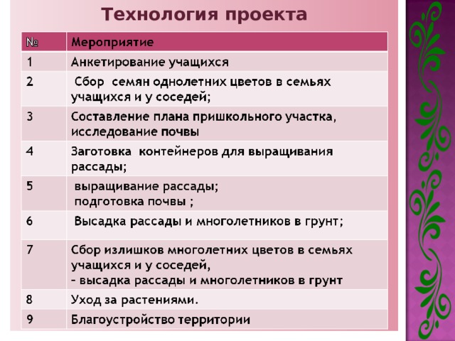 Технология проекта  