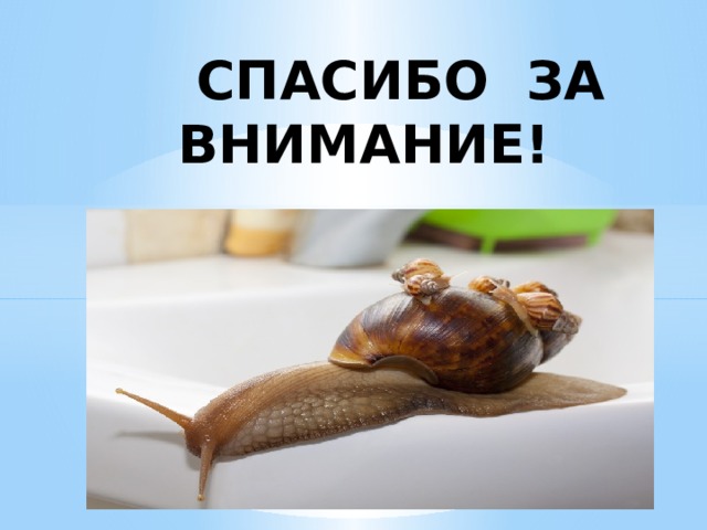  СПАСИБО ЗА  ВНИМАНИЕ! 