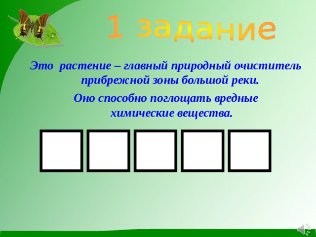 Это растение – главный природный очиститель прибрежной зоны большой реки. Оно способно поглощать вредные  химические вещества.