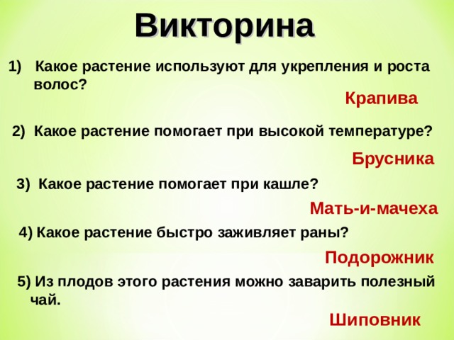 Викторина  Какое растение используют для укрепления и роста  волос? Крапива   2) Какое растение помогает при высокой температуре? Брусника  3) Какое растение помогает при кашле? Мать-и-мачеха  4) Какое растение быстро заживляет раны? Подорожник  5) Из плодов этого растения можно заварить полезный  чай. Шиповник 