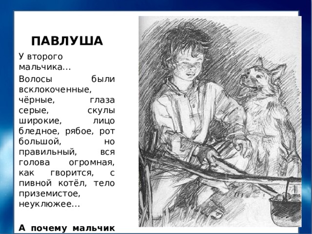 ПАВЛУША У второго мальчика… Волосы были всклокоченные, чёрные, глаза серые, скулы широкие, лицо бледное, рябое, рот большой, но правильный, вся голова огромная, как гворится, с пивной котёл, тело приземистое, неуклюжее… А почему мальчик понравился автору? 