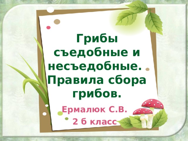 Грибы съедобные и несъедобные.  Правила сбора грибов. Ермалюк С.В. 2 б класс 